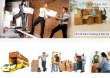 Packers Services Noida Sector 62