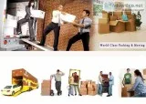 Packers Services Noida Sector 62