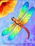 Folsom Family Room 31 Tie Dye Dragonfly  FAMILY SPECIAL  5 Off  