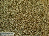 Carpet Wholesale to Builders Contractors Property Managers