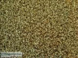 Carpet Wholesale to Builders Contractors Property Managers