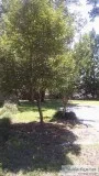 RENTAL LAND FOR MOBILE HOME