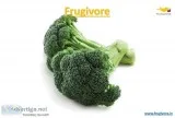 Broccoli Online