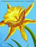 Folsom Studio 310 Daffodil  SPRING FEVER SPECIAL  ONLY 30  Ages 
