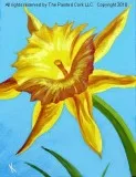 Folsom Studio 310 Daffodil  SPRING FEVER SPECIAL  ONLY 30  Ages 