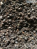 Compost  Vermicompost