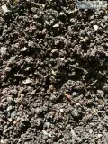 Compost  Vermicompost