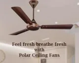 Buy Stylish Power Saving Fans Online