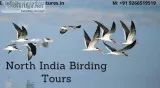 bird watching tour northern india