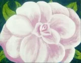 Folsom Studio 316 Camellia Flower  BOGO  Buy One Get One Free  A