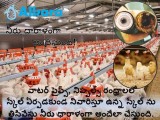 Water Softener for Poultry farms in Chittoor