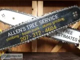 Affordable tree service