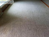 INCREASE LONGEVITY OF CARPET WITH BEST CLEANERS MIAMI