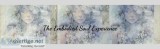 The Embodied Soul Experience