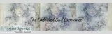 The Embodied Soul Experience