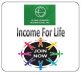 Income for life