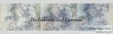 The Embodied Soul Experience