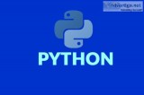 PROFESSIONAL TRAINING IN PYTHON AT VSITDWARKA