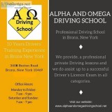 Driving Instructors