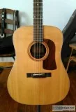 Washburn  Acoustic Guitar