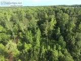 22 Acres for Sale in Villa Rica GA