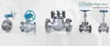 Super Duplex Steel UNS S32950 Valves