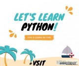 PROFESSIONAL TRAINING IN PYTHON AT VSITDWARKA