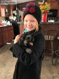 German shepherd puppies. AKC Lineage Without the AKC price.