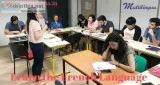 Learn the French Language