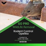 Rodent control Opelika