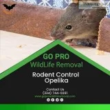 Rodent control Opelika