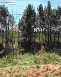2.23 Acres for Sale in Carrollton GA