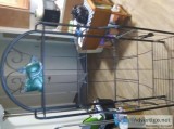 Plant stand shoe racks picture