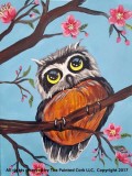 Folsom Studio 331 Cherry Blossom Owl  BOGO  Buy One Get One FREE