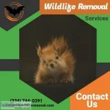 Wildlife Removal Services