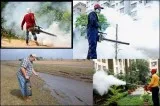 Termites and Pest Control Services  9899984111