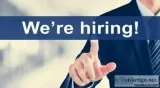 IT-RECRUITER