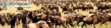 Best Tour to Tanzania Wildlife Safaris