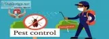 Best Pest Control In East Delhi