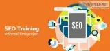 SEO Training in Noida