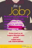 Incredible work opportunity to work according to your rules and 