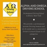 Driving Instructors