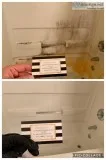 Same day cleaning services