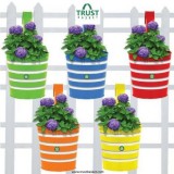 Buy Plastic Pots for Plants Online  Trust Basket