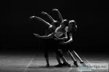 Dance Studio for Rent in Ann Arbor - Inneractiondance