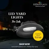 Order Now LED Yard Lights at Cheap Price