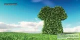 Green Apparels in Bangalore - EarthyWorthy