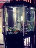 44 Gallons Corner Fish TankAquarium wStand
