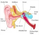 How to Cure Tinnitus  Home Remedies for Tinnitus Problem
