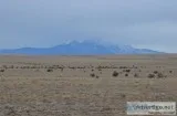 35.68 Acres for Sale in Model CO